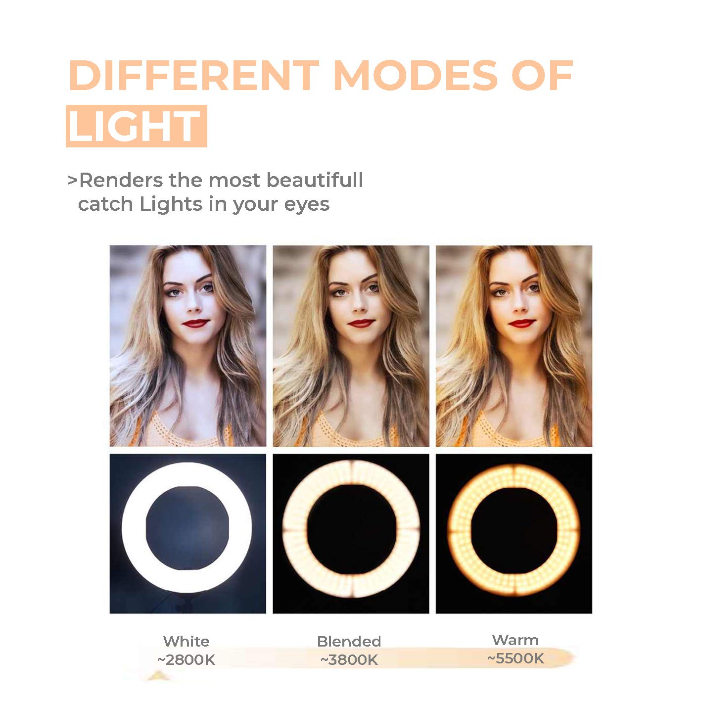 Tygot 10" Portable LED Ring Light with 3 Color Modes Dimmable Lighting | for YouTube | Photo-Shoot | Video Shoot | Live Stream | Makeup & Vlogging | Compatible with iPhone/Android Phones & Cameras - Image 5